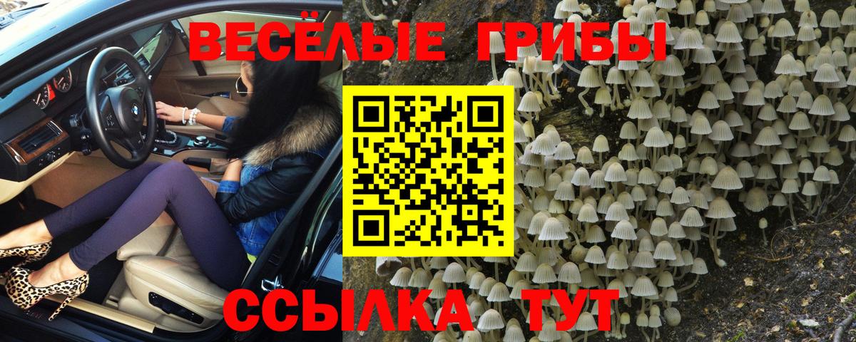 Псилоцибиновые грибы MAGIC MUSHROOMS Новокуйбышевск